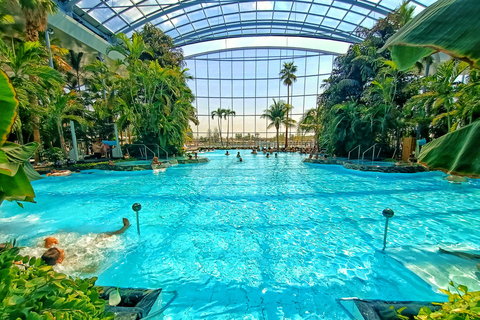 Therme Bucharest | Official Admission Ticket All Day - Galaxy+Palm+Elysium Area - Access Ticket