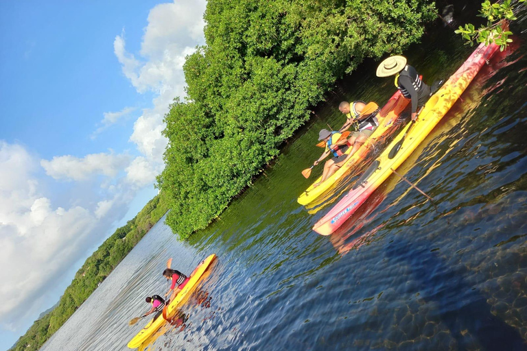 Le Robert Self-Guided Kayak Tour: Îlet Chancel, iguanas, and white sandbanks Kayak tour at Robert: Chancel islet, iguanas, and white seabeds