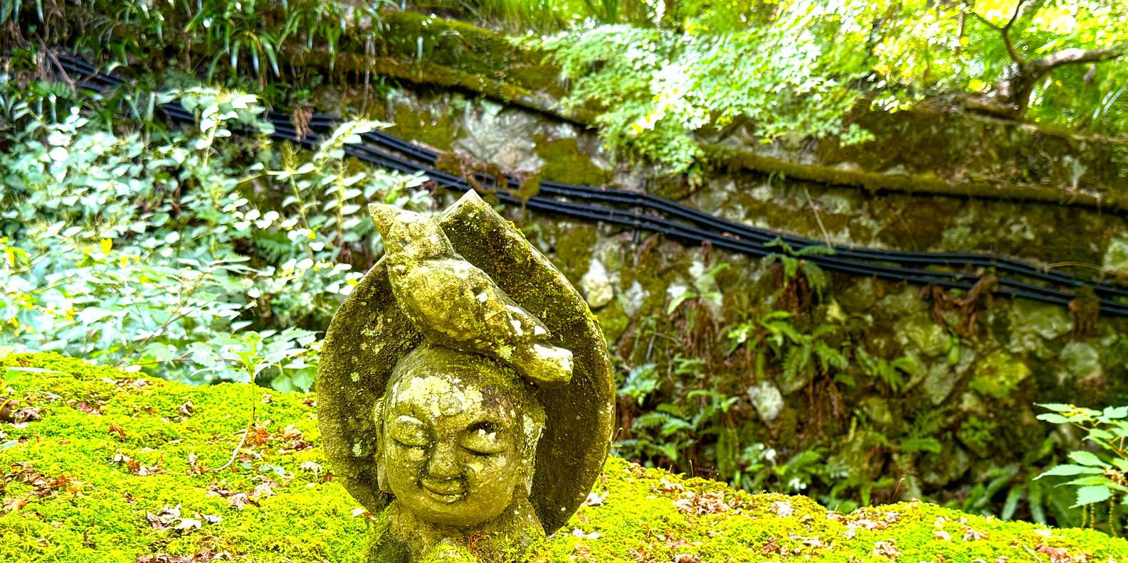 Kyoto: The Hidden Sanctuary of Sanzen-in Temple