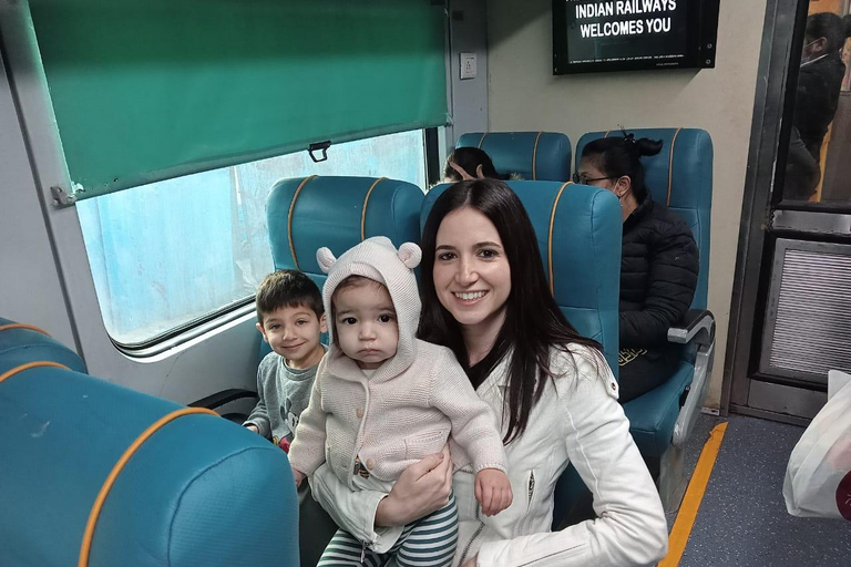 From Delhi: All Inclusive Taj Mahal Tour by Express Train All Inclusive VIP Day Tour