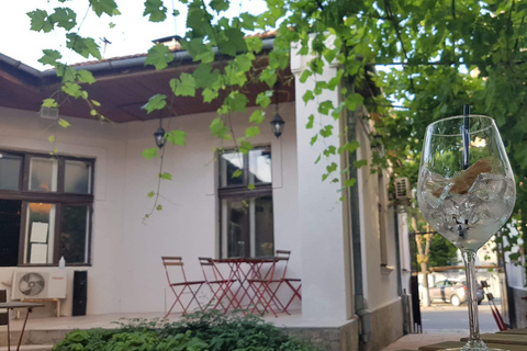 Chisinau : Tournée des bars à cocktails et des boutiques de vins