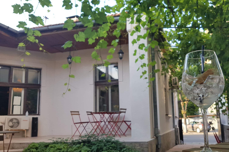 Chisinau : Tournée des bars à cocktails et des boutiques de vins