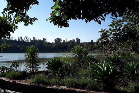 Bishoftu: Rift Valley Lakes Birdwatching Tour
