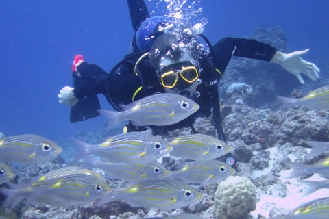 Mauritius: 3-Hour East Coast Scuba Diving Adventure Mauritius: 3-Hour West Coast Scuba Diving Adventure