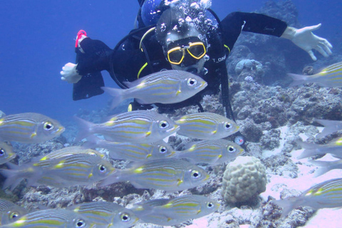 Mauricio: aventura de buceo de 3 horas en la costa esteMauricio: aventura de buceo de 3 horas en la costa oeste