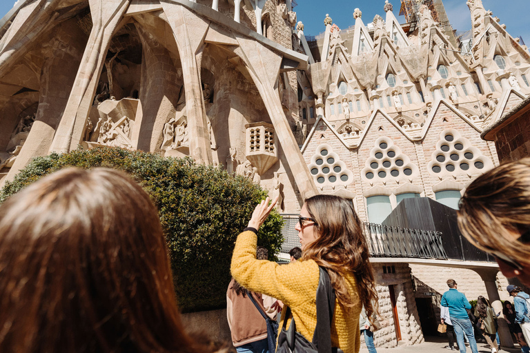 Barcelona: Sagrada Familia Tour w/Skip-the-Line Entry Ticket