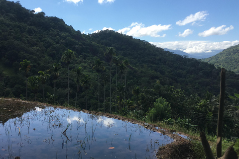 Kandy: Knuckles Mountain Range Guided Trekking Tour