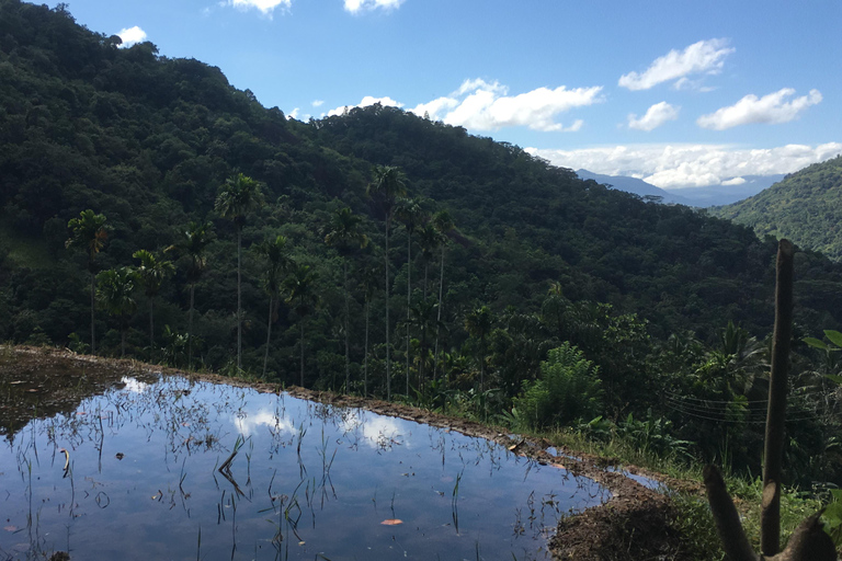 Kandy: Knuckles Mountain Range Guided Trekking Tour