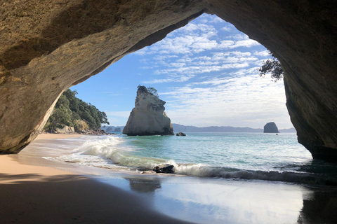 Auckland: Cathedral Cove &amp; Coromandel – tur i liten gruppAuckland: Tur i liten grupp till Cathedral Cove och Coromandel
