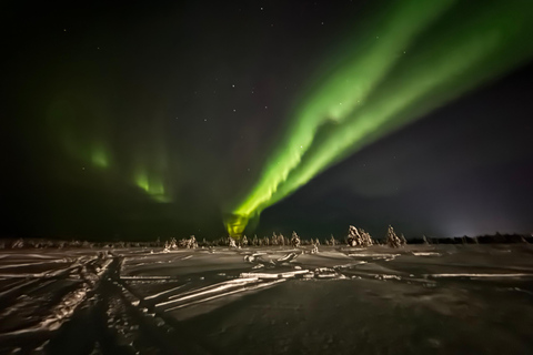 VIP Northern Lights Aurora Chase – Levi, Finnish Lapland