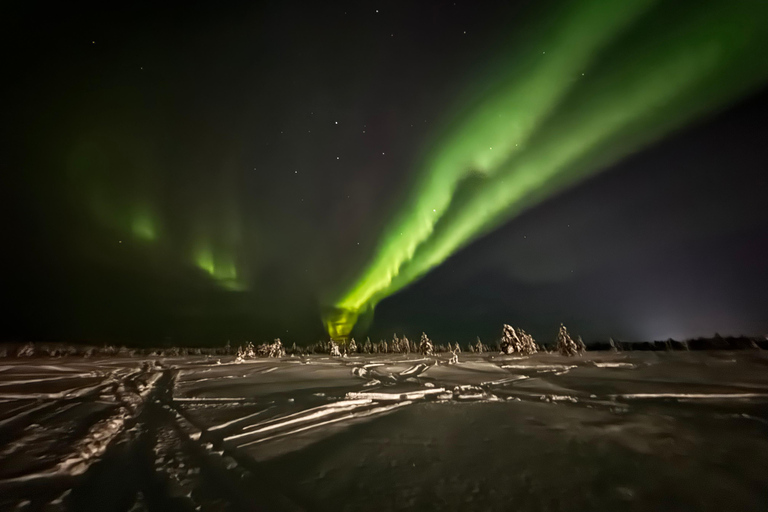 VIP Northern Lights Aurora Chase – Levi, Finnish Lapland