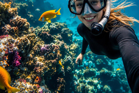 Lovina: Dolphin Observe & Snorkeling with Optional GoPro Sharing Dolphin Tour With GoPro, Transfer Hotel North Area