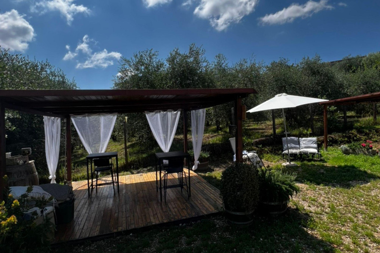 Soiana: tour dei vigneti e della cantina con degustazione di vini vicino a PisaInglese