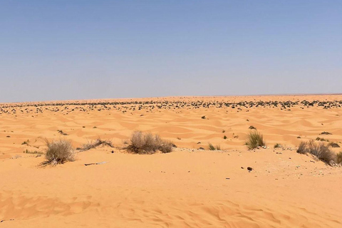 Een magische dag in Ksar Ghilane en Tataouine