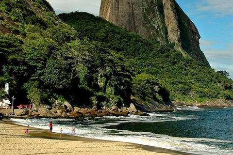 Rio de Janeiro: Private Guide and Car at Your Disposal