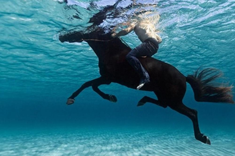 Zakynthos: Horse Riding Swimming Experience