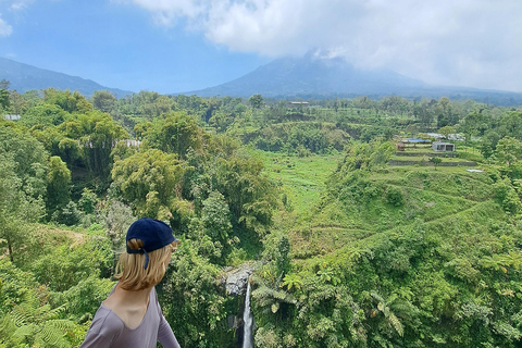 From Yogyakarta: Selogriyo Rice Terraces to Hidden Waterfall