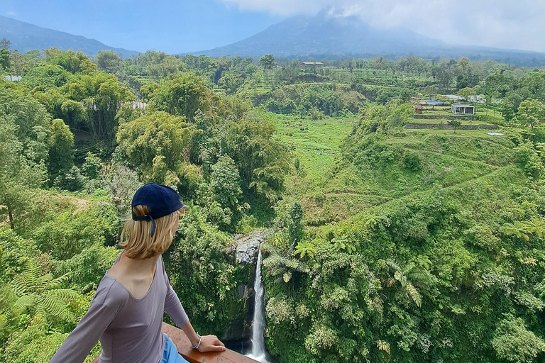 From Yogyakarta: Selogriyo Rice Terraces to Hidden Waterfall