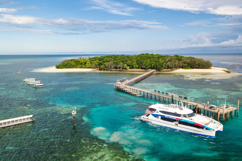 Vanuit Cairns: Green Island + Moore Reef Ponton ComboGroen eiland & Moore Reef Ponton Combo