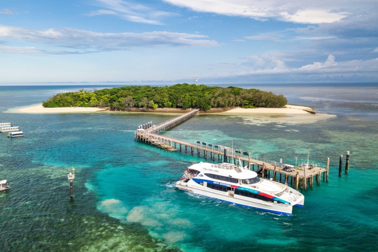 From Cairns: Green Island + Moore Reef Pontoon Combo Green Island & Moore Reef Pontoon Combo