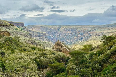 Rencontres sauvages : Aventure dans le parc national de Hell&#039;s Gate