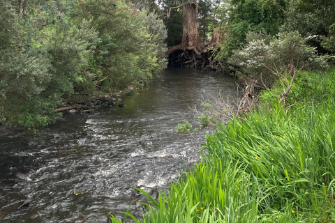 Private Full Day Tour - Huon Valley and Cygnet