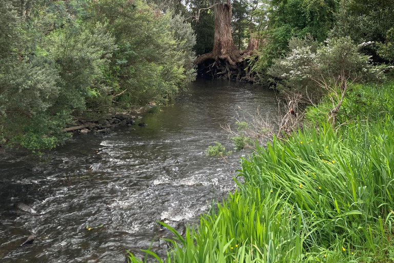 Private Full Day Tour - Huon Valley and Cygnet