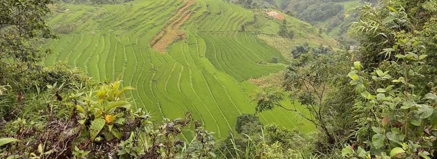 Bac Ha : circuit panoramique et culturel avec déjeuner