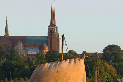 Copenhagen: Viking Heritage Trail Private Tour