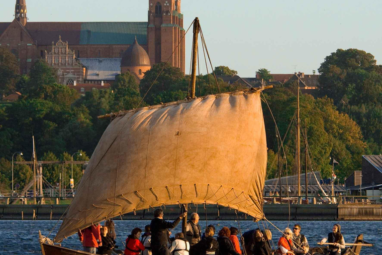Copenhagen: Viking Heritage Trail Private Tour