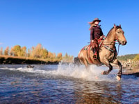 Tuscon, Rancho de Los Cerros Horseback Riding Tour - Housity