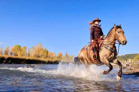 Tuscon: Rancho Cerros Horseback Riding Tout with Great Views