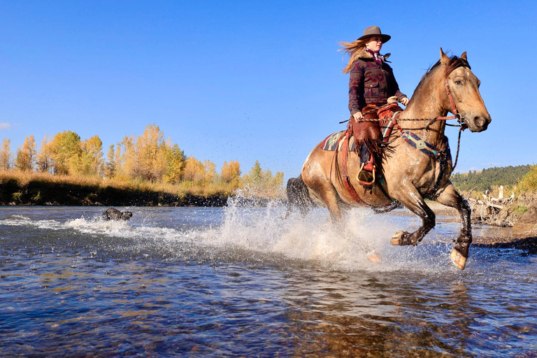 Tuscon: Rancho Cerros Horseback Riding Tout with Great Views