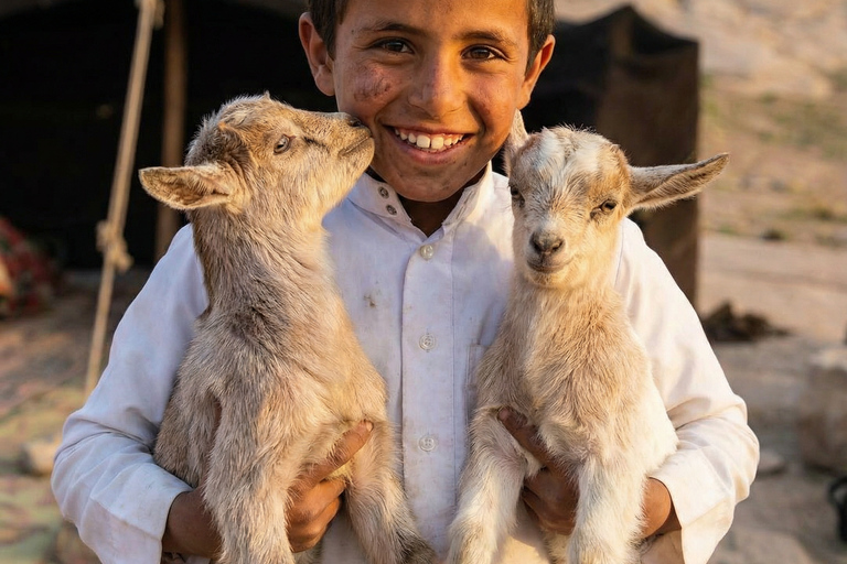 Wadi Rum : FULL DAY JEEP & OVERNIGHT Real beduin experience Overnight in Bubble Camp + Full day jeep tour