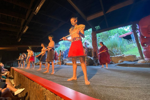 Private Day Tour - Rotorua, Kiwi Hatchery & Māori Culture