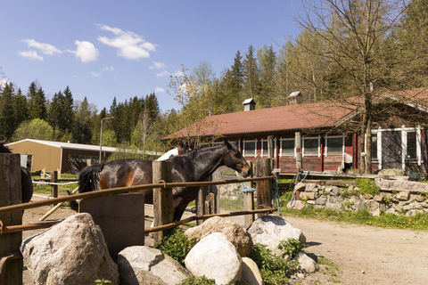 赫尔辛基：驯鹿公园与马厩私人游赫尔辛基：驯鹿公园与马厩私人导览游
