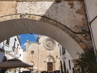 From Brindisi, Alberobello Ostuni Locorotondo, guided tour - Housity