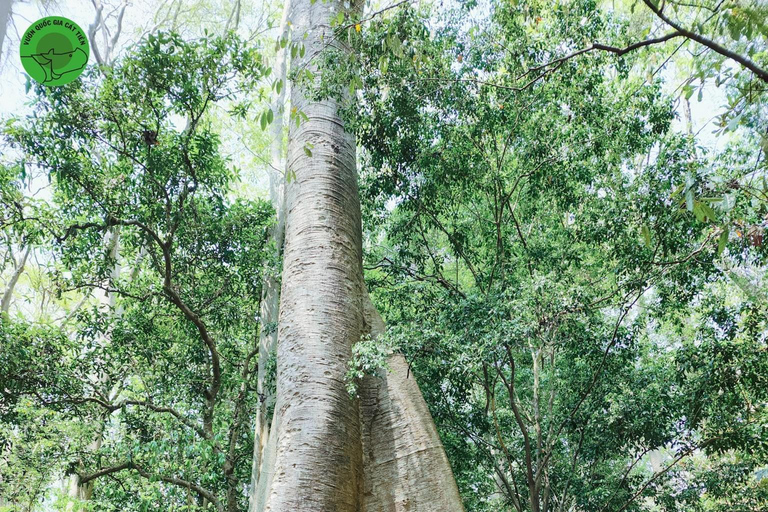 Parque Nacional de Cat Tien Tour Privado de 2 Días con Guía LGBTComida y hotel incluidos