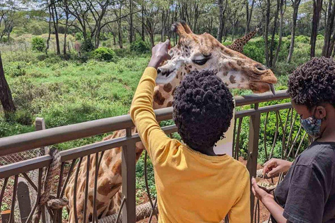 Nairobi National Museum, Giraffe Centre & Bomas of Kenya