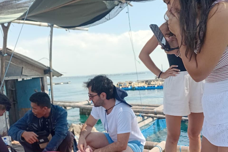 From Lombok: Gili Petelu and Pink Beach Snorkeling Tour