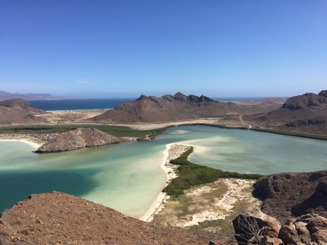 Visit Mangroves & Beaches Hiking Tour of Balandra, La Paz in La Paz