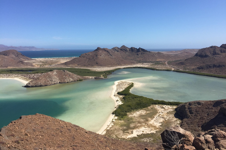 Mangroves & Beaches: Hiking Tour of Balandra, La Paz