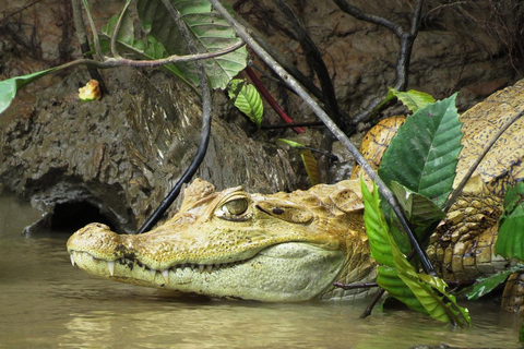 Iquitos 3D: &quot;Paseos en barco, pesca de pirañas y aventura nocturna&quot;