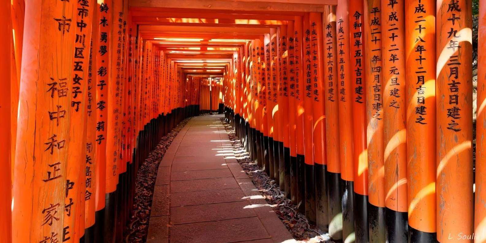 Kyoto experience — temples, geisha, bamboo grove — image 10
