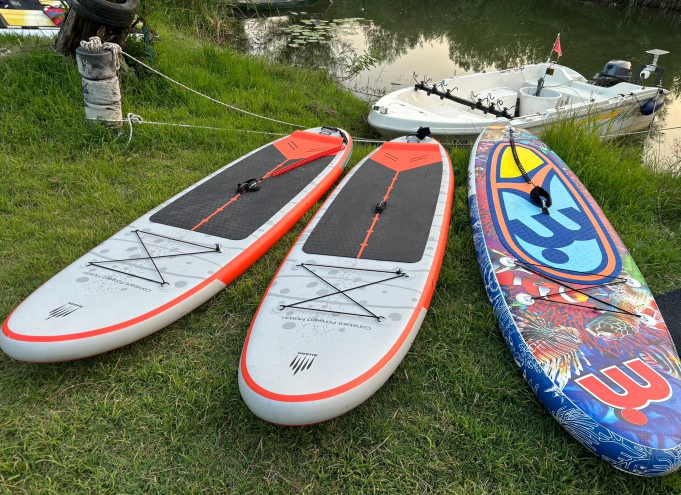 Virpazar: Udforsk den fantastiske Skadarsø på paddleboard