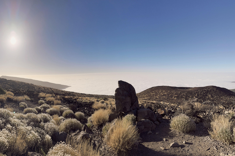 Puerto de la Cruz: Ascend Mount Teide on a quad bike to experience a magical sunset Individual Quad (1 person per quad)