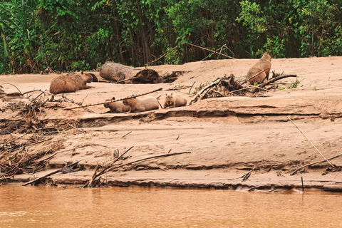 Amazon Wildlife Tour from Cusco–6 Days in the Reserved Zone.