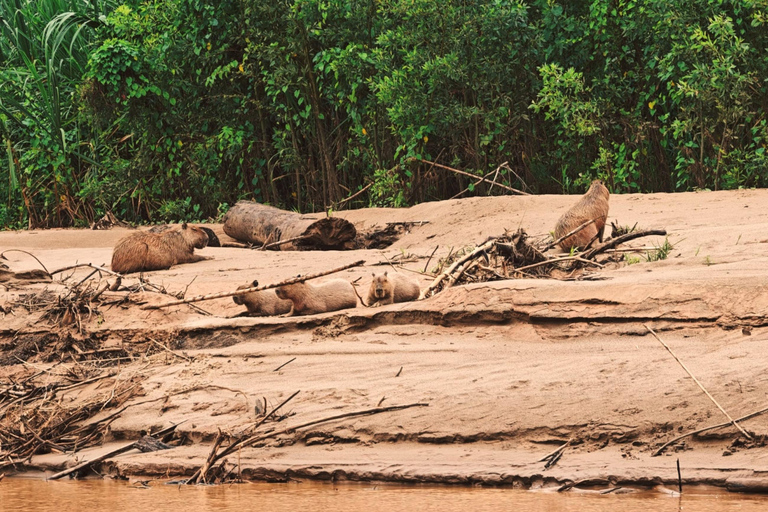 Amazon Wildlife Tour from Cusco–6 Days in the Reserved Zone.