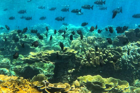 Amed All Exclusive Snorkeling, Fishing & Cooking Lunch Amed Snorkeling Tour and Balinese BBQ Experience