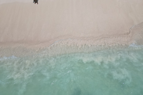 Wild Saona: Unspoiled Beaches and Natural Pools